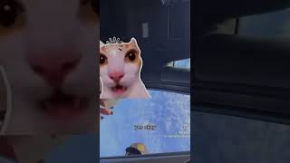 Pulled Over for Distracted Driving… With a Hand She Doesn’t Have