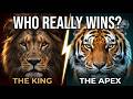 Lion vs. Tiger — A battle between two kings: Who will truly win?