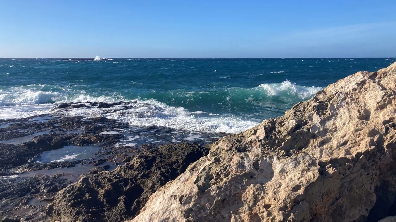 Colonia de Sant Jordi 2026 01 08