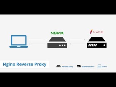 configure nginix reverse proxy in urdu|hindi