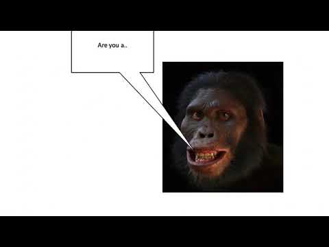 The Stupid JavaScript Man