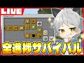 【マイクラ】最新バージョンで全進捗達成を目指す Day3