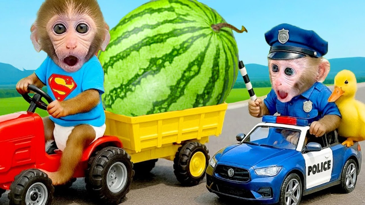 O Macaco Bon Bon descobre um alien enquanto está no supermercado com o patinho