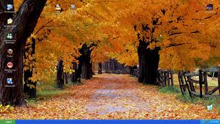 3 Minutes Timer Windows XP Loading Autumn Wallpaper ⏳