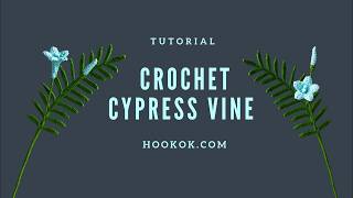 Crochet Cypress Vine - Paid Tutorial