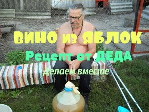 Домашнее вино из яблок // Сделай сам