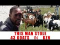 Ep 6904 This Man Stole 43 Goats in KZN