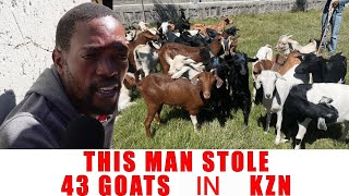 Download lagu Ep 6904 This Man Stole 43 Goats in KZN