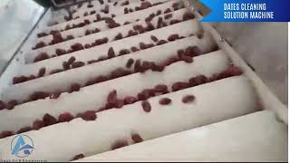 Dates Cleaning Machine | Palm Cleaning Machine | Dates Polishing Machine | Dates Washing Machine |
