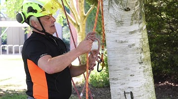 Reaseheath Masterclasses: How to climb with ropes