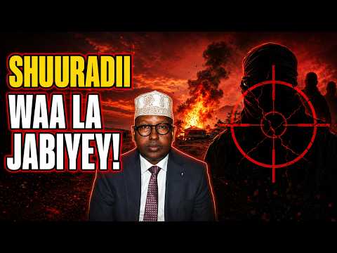 🚨 DEG DEG: Aasaasihii Al‑Shabaab oo La Dilay—Abuu Cubeyda oo Halis Weyn Galay!