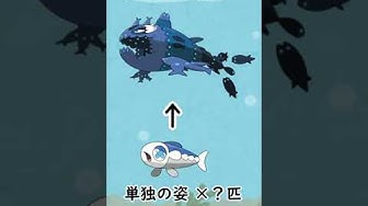 ヨワシ Youtube