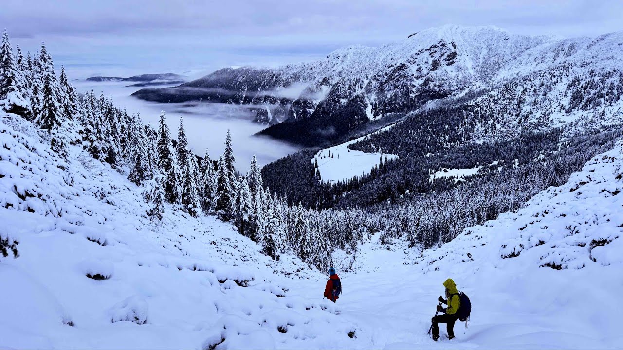 Tura de iarna - Cabana Buta - Vf.Custura (2457m)
