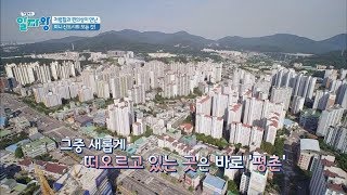 저렴함&편의성 만난 '미니 신도시'로 떠오른 '평촌' TV정보쇼 알짜왕 53회