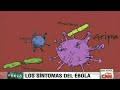 ¿Cómo te puedes contagiar del virus del ébola?