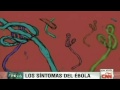 ¿Cómo te puedes contagiar del virus del ébola?