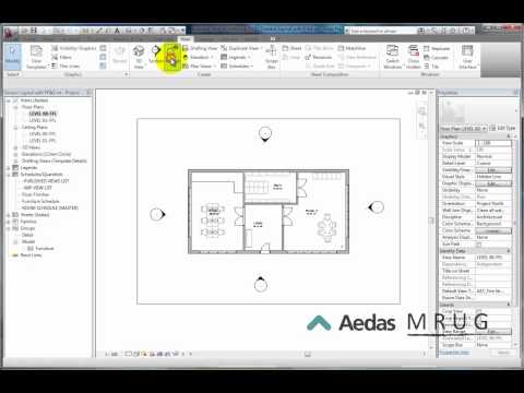 Controlling the 3D Section box Plan View