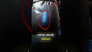 Popoya Saklanan Özel Silah