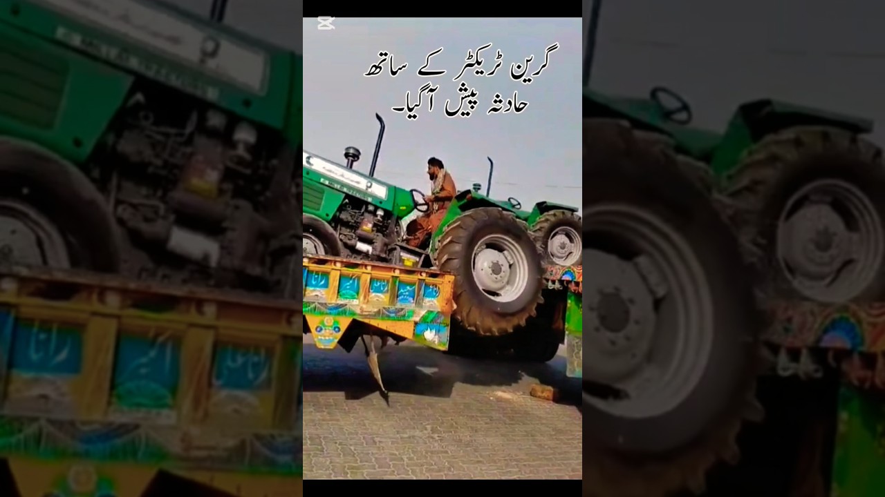 Green tractor Mf385 Troli se dir dia 