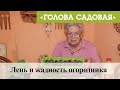 Голова садовая - Лень и жадность огородника