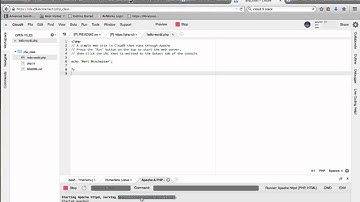Sharing your Cloud 9 project
