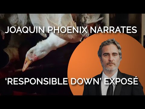 Joaquin Phoenix Narrates PETA Asia Investigation Video Exposing ‘Responsible Down’