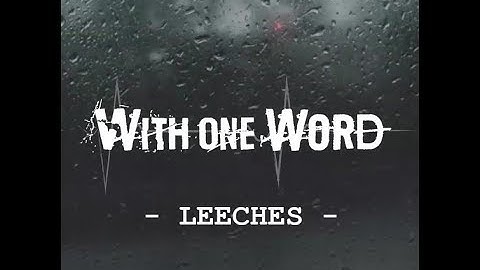 With One Word - Leeches (Russian Tour Video)
