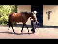 Aidan obrien on sadlers wells