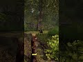 I Finally Gave Gothic 2 a Chance I Finally Gave Gothic 2 a Chance
