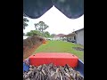 #cardinal #cardinalfemale #everythingnature #backyardwildlife #birds #birdfeedercamera #morningfeed