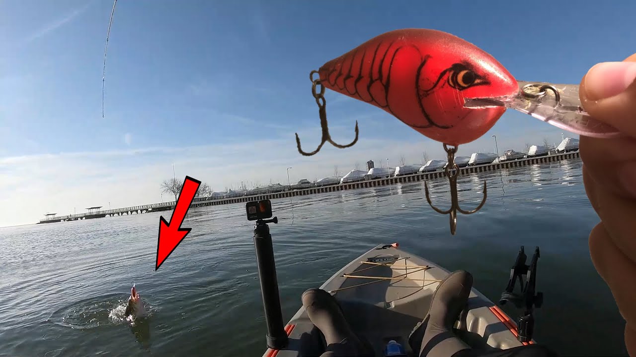 Rapala DT-10 Crankbait Fishing for LAKE MONSTERS! 