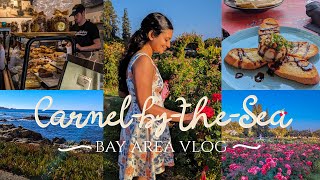 A Day in Carmel By The Sea 🌊| Pilgrims Books, Kris Kringle, Carmel Bakery, San Jose Rose Garden🌹