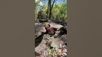 Axial RYFT Crawler - Rock Hoppin #rccrawler #rockcrawler #hobbywing #axial #ryft #jconcepts #rupture