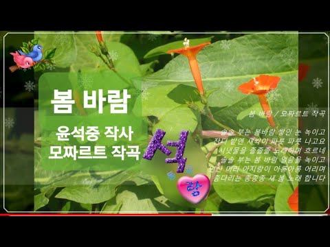 봄바람(윤석중 작사,모짜르트 곡) 석랑동요♧ (솔솔부는 봄바람.
