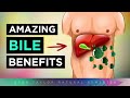 11 Amazing Benefits of: Bile Salts