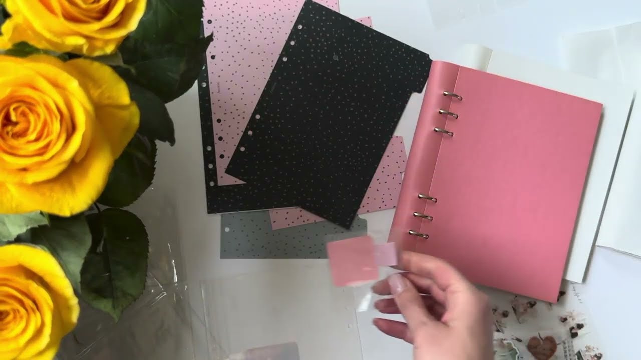 Новая канцелярия, Filofax Clipbooks на кольцах, стикеры на осень 🍂