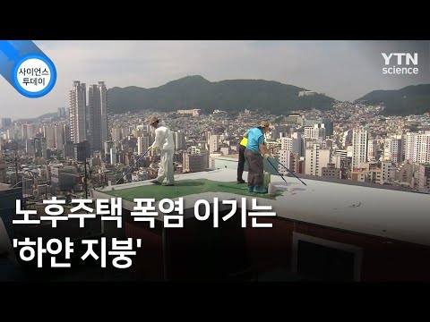 노후주택 폭염 이기는 &rsquo;하얀 지붕&rsquo; / YTN 사이언스