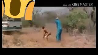 pemerkosaan di hutan