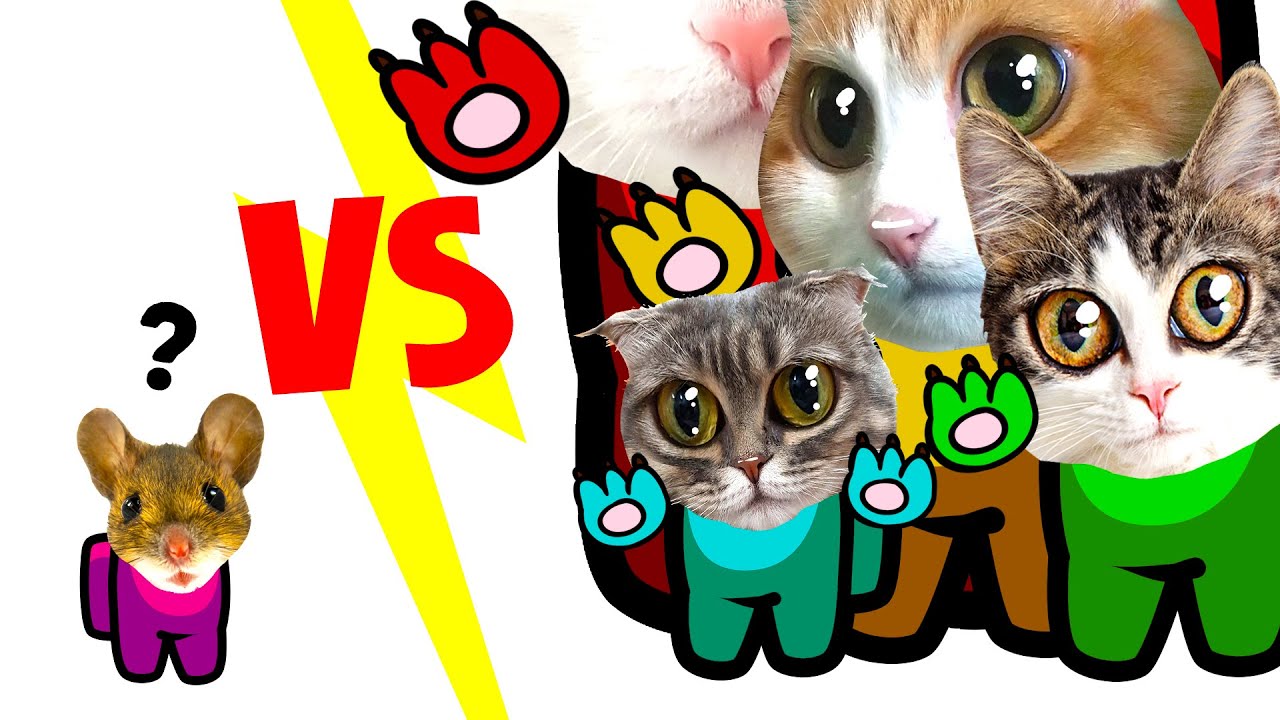 Among Us - Cats version😹 - YouTube