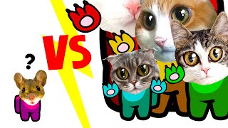 Kittens VS mouse with Cup Song animation | ANIMATION COMPLETE EDITION| GAMETIK