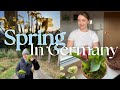 Spring in germany  vlog
