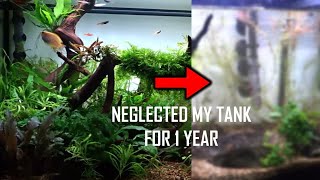 I Neglected My Fish Tank for 1 Year! What Happened?