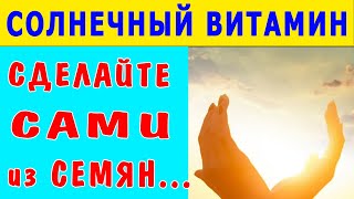 Молоко из семян подсолнуха ТВОРИТ ТАКОЕ …  Как Сделать Солнечный витамин