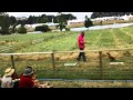 Spaniel gundog training by Ian Openshaw - CLA 2013 - 1 Spaniel gundog training by Ian Openshaw - CLA 2013 - 1
