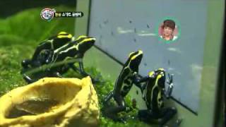 스펀지 제로 - Sponge zero #07 20120203