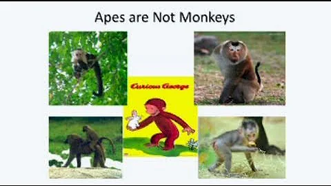 Osher UCSD: Redrawing Lines Between Chimps and Humans with Jon Cohen