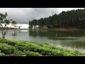 جنة الدنيا كاندي صوت الطبيعة سيريلانكا Srilanka جنة الدنيا كاندي صوت الطبيعة سيريلانكا Srilanka