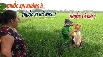 Thánh xịt thuốc xách cần dài 7 mét đi phun thuốc cho chị chủ ruộng xài toàn thuốc xịn..