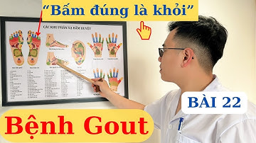 Bệnh GOUT, lời khuyên quý giá từ thực tiễn lâm sàng | Ds Nguyễn Quốc Tuấn
