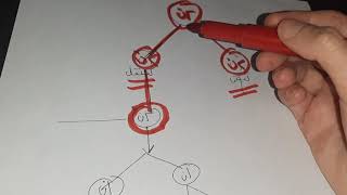 تكوين الحيوانات المنوية (2)